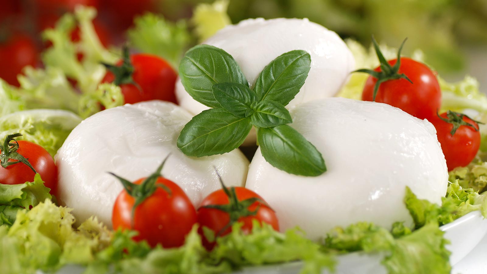 Origen alimentos etiquetado